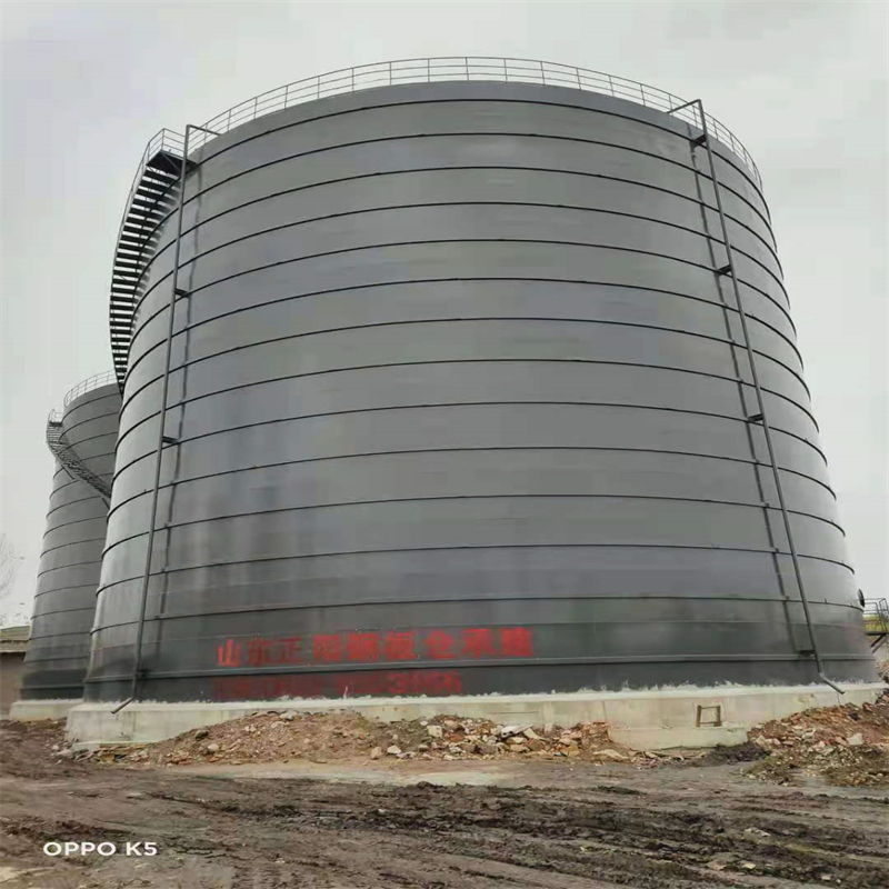 梁园3万吨大型钢板库