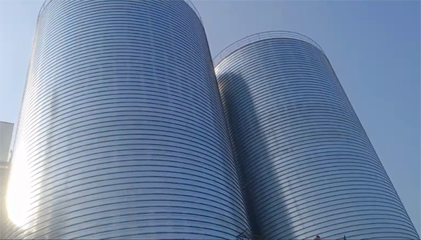 梁园2座混凝土高架卷板仓